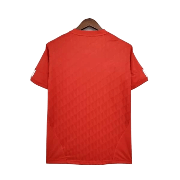 ליברפול 2010/11 - Top Jersey